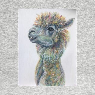 Llama T-Shirt